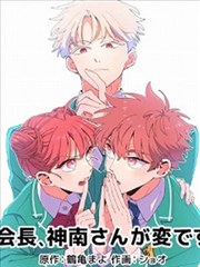 旧城四季年代长篇作品封面